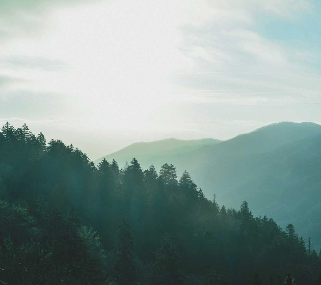 株式会社秋月家具